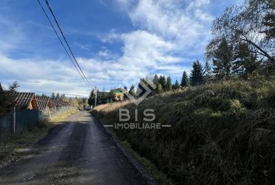 Teren de vanzare 12 ari - COLIBITA - 8