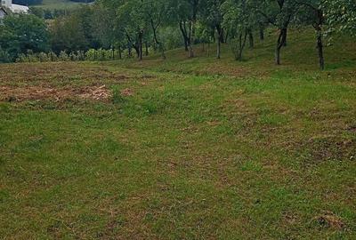 Casă în Petea - 1