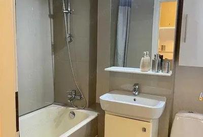 1 cam dec renovat mobilat etaj intermediar Piata Unirii Parcul Botanic - 3