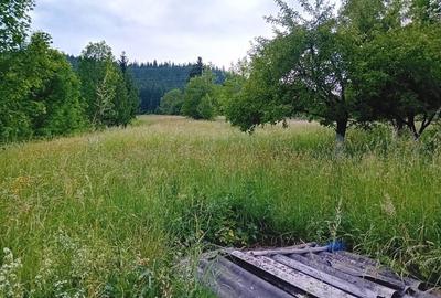 Casă cu 4 camere cu Teren 2500 Mp în Câmpulung Moldovenesc - 6