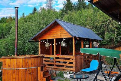 Cabana de vanzare o oaza de liniste in Muntii Apuseni Valea Ierii - 2