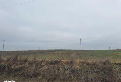 Spațiu comercial, în Albești - 2