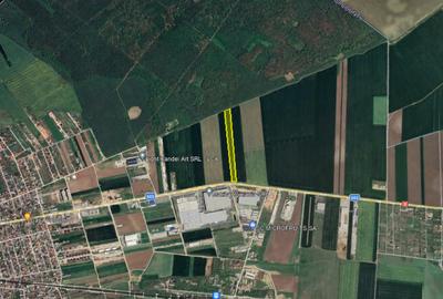 Teren Vanzare Intravilan Branesti investitie Zona Industrial - 36