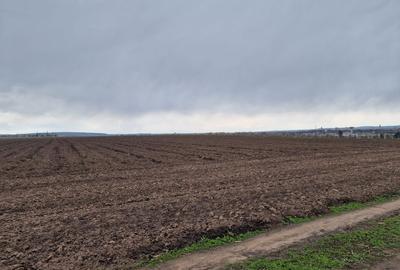 Teren 10.000mp Bacau, strada Alexandru Safran - 1