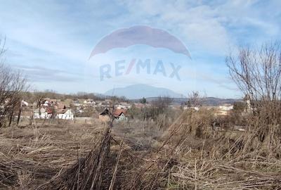 Casă cu 3 camere cu Teren 997 Mp în Chirpăr - 3