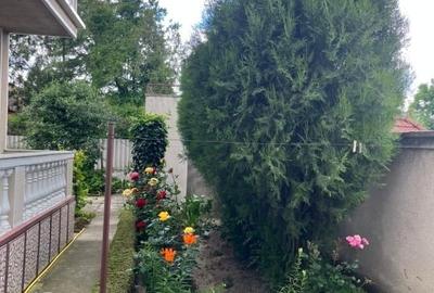 🏡 Casă solidă, spațioasă și versatilă în zona centrală, Sânnicolau Mare - 10