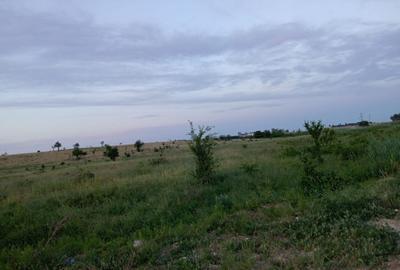 Teren intravilan de 9600 mp, în Ciocănești - 1