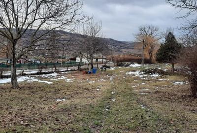 Oportunitate de investitie, teren intravilan Husi, 10435 mp - 3