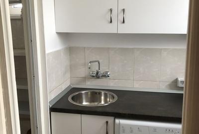 Titan, Postavarul, Auchan, sector 3, ac, tv, renovata - 7