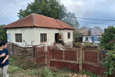 Casă cu 3 camere în Argeșelu - 2