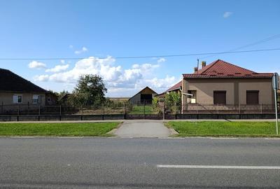 Casă cu 4 camere în Horea - 1