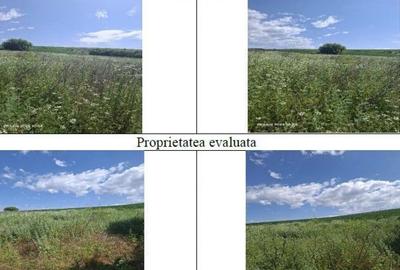 Teren Balteni, cota parte 1/4, ID: R2695268 - 4