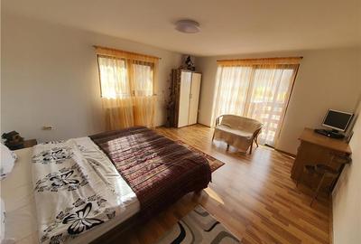 Oferta casa de vacanta P+1+M cu 1700mp teren, in Gura Raului - 33