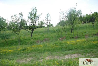 Casa de vanzare cu 47.880 mp teren in Vintu de Jos - Mereteu - 4