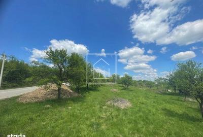 Teren de 1200 mp, în Central - 4