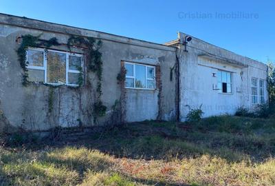 Casă cu 3 camere cu Canalizare în Movila Miresii - 19