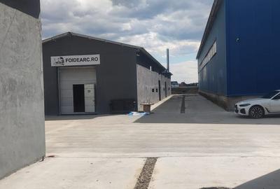 Hale renovate Oras Pantelimon module 200-400 mp ( zona industriala ) - 5