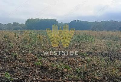 Teren de vanzare, in Ghertenis, Berzovia - 2