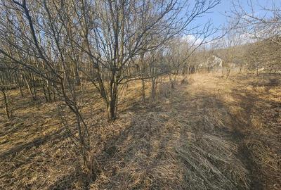 Casă cu 4 camere cu Teren 1000 Mp în Vâlcănești - 5