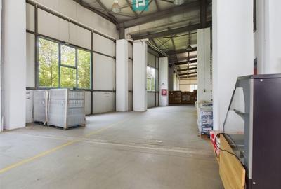 Spatii depozitare, zona Bucuresti sud - Jilava - 5