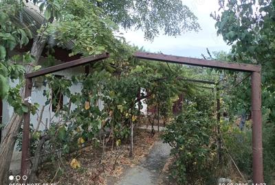 Casa batraneasca Chilia Veche - 1