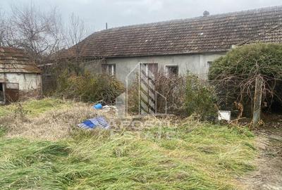 Casa individuala in Ghiroda cu 1509 mp teren - 4