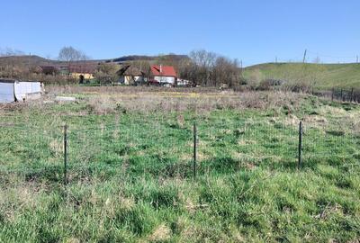 Spațiu comercial, în Suatu - 3