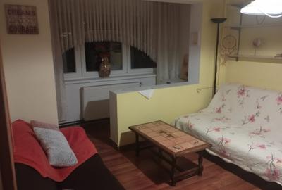 Pe celmai important bulevard din oraș, la 10 minute de Facultatea de Medicina - 3