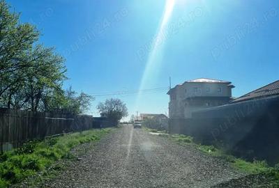 Vanzare teren 350mp Cernica Balaceanca - 4