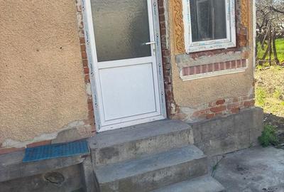 Casă cu 3 camere în Micloșanii Mici - 2