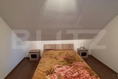 2 CASE, 300mp/700mp, teren 30 ari, zona strada Botizului - 7