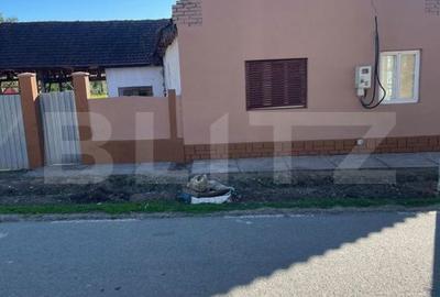 Casă cu 3 camere cu Teren 3000 Mp în Central