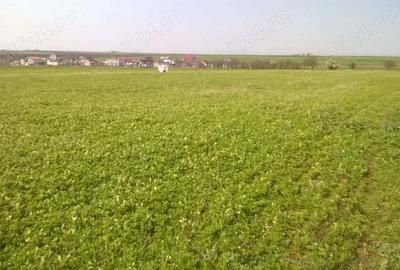 Teren de 7500 mp, în Central - 2