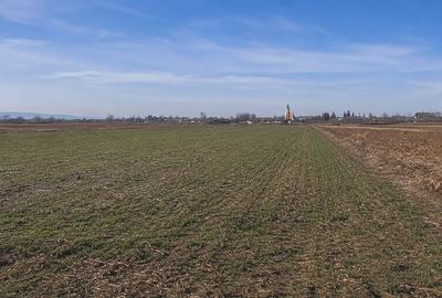 Teren agricol extravilan de 7700 mp, în Mircești - 1