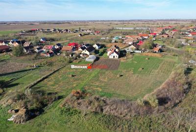 Teren de 800 mp, în Hodoș - 3