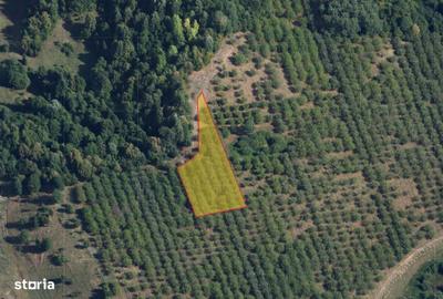 Teren de 2900 mp, în Central