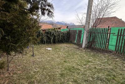 Casă cu 4 camere în Bran - 7