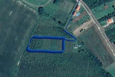 Teren de 6200 mp, în Ardud - 13