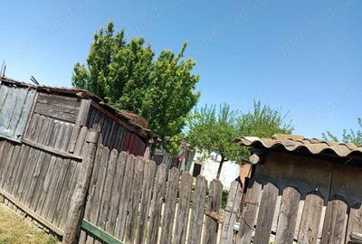 Vand casa in Oltina - 9