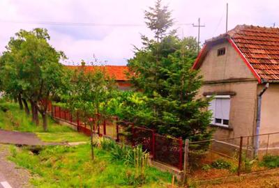 Casa individuala Saca?eni - 7