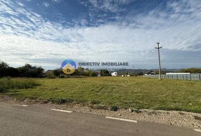 Teren de vanzare 1800 mp Dumbrava Ro?ie - 1