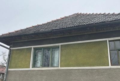 Casă cu Teren 20000 Mp în Vârfurile - 4