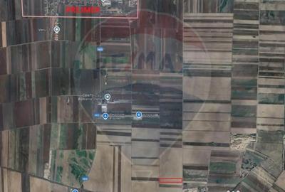 Teren de 13000 mp, în Prejmer - 1