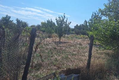 Teren Construcții intravilan de 1123 mp, în Vădeni - 2