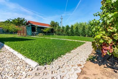 Casa de vanzare cu teren 1500mp Snagov / Padure si lac la cativa pasi Casa de vanzare cu teren 1500mp Snagov / Padure si lac la cativa pasi - 30