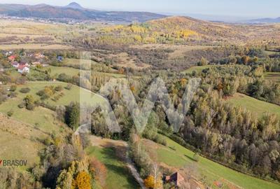 Vanzare teren intravilan 37723 mp Zarnesti Tohanita - 4