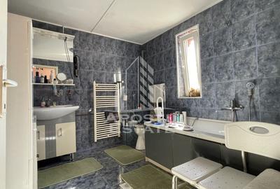 Casa Freidorf Timisoara - 8