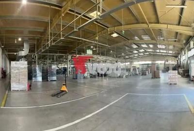 Proprietate Industriala 7000 mp hala in Calea Sagului Timisoara Proprietate Industriala 7000 mp hala in Calea Sagului Timisoara - 3