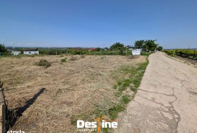 Spațiu comercial, în Bucium - 11