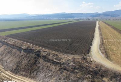 Teren de 19239 mp, în Vulcan - 15